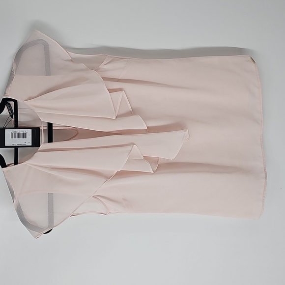 Marciano Nude Pink Vneck Flutter Sleeve Feminine Semi-sheer Blouse - Picture 8 of 8